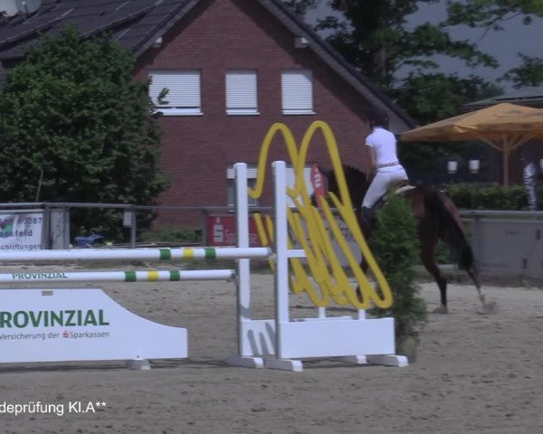 Reitturnier Coesfeld/Lette 2021
