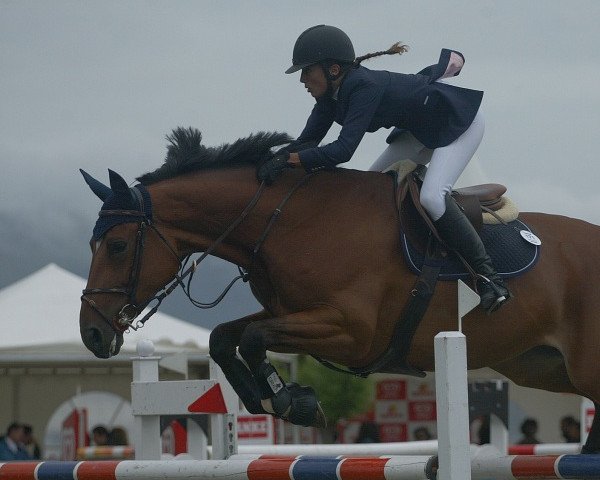 jumper Takoma du Relais Pachis (Luxembourg horse, 2003, from Toulon)