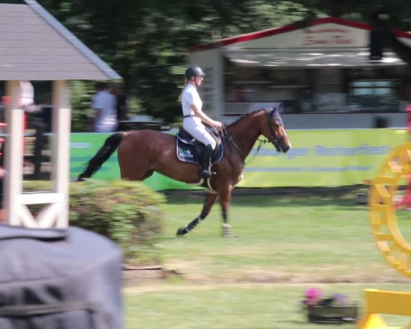 Reitturnier Nienburg 2021