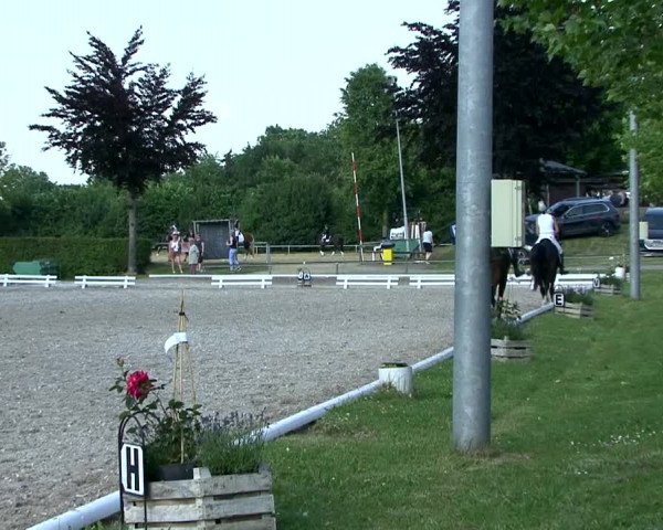 Reitturnier Fröndenberg 2021