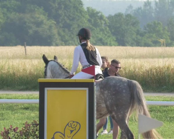 Reitturnier Biebesheim 2021