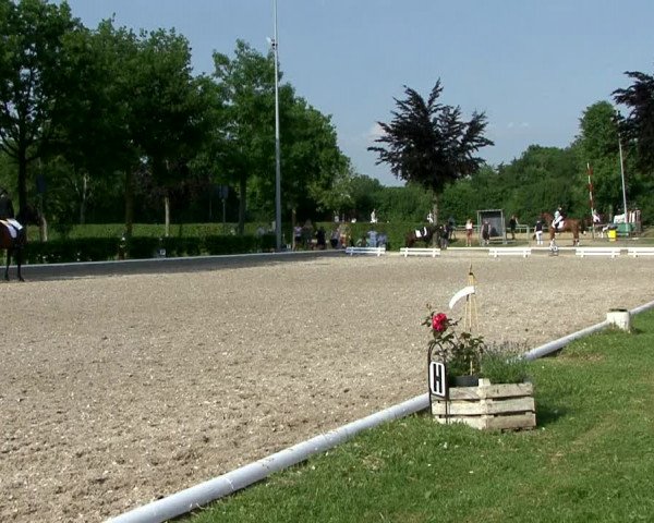 Reitturnier Fröndenberg 2021