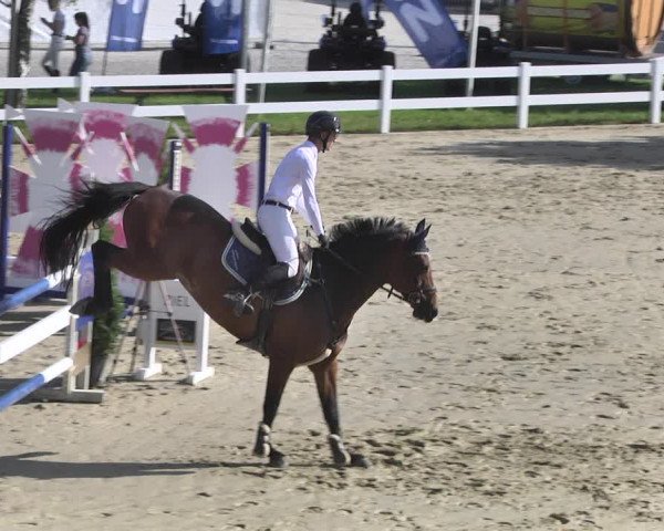 Reitturnier - Leutkirch-Diepoldshofen 2021