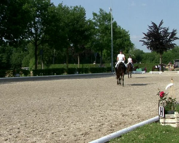 Reitturnier Fröndenberg 2021