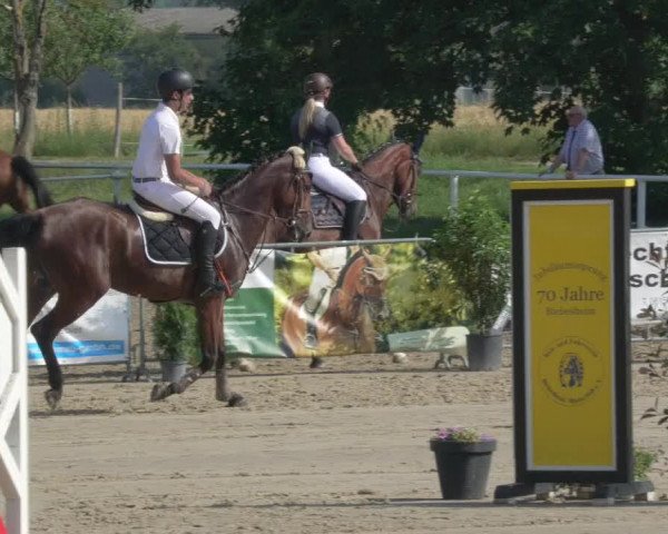 Reitturnier Biebesheim 2021