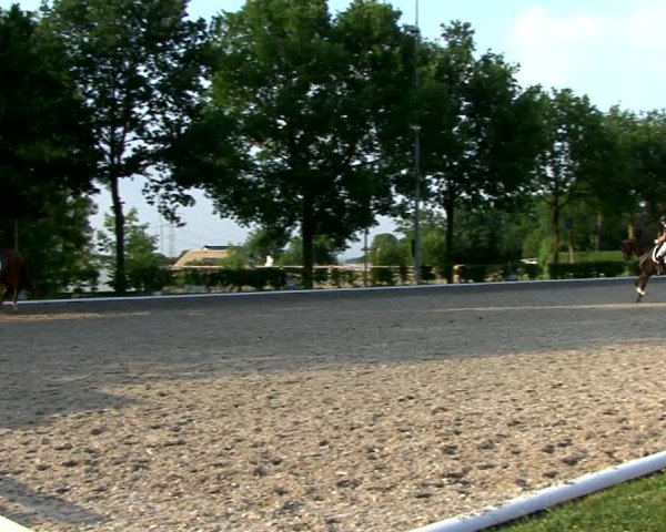 Reitturnier Fröndenberg 2021