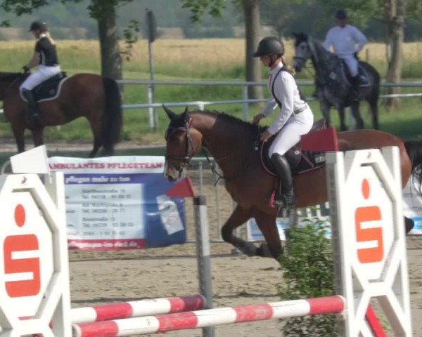 Reitturnier Biebesheim 2021