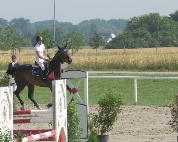 Reitturnier Biebesheim 2021