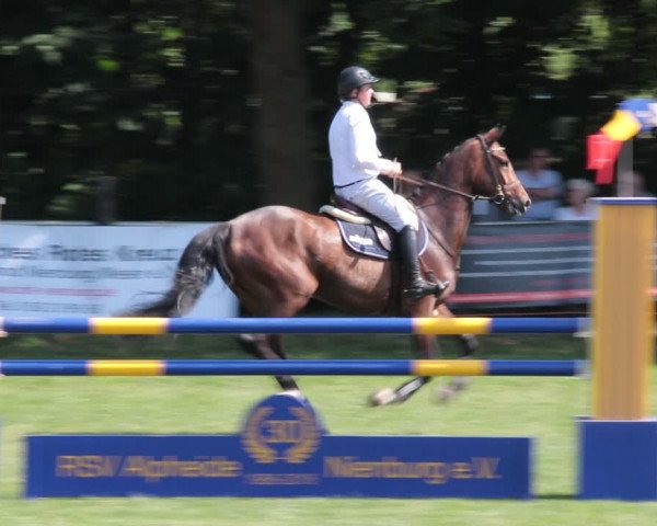 Reitturnier Nienburg 2021