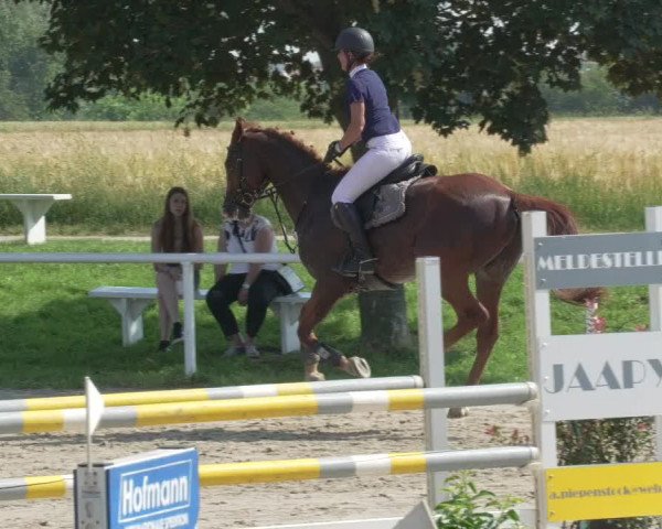 Reitturnier Biebesheim 2021