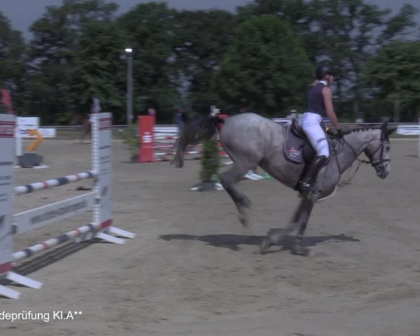 Reitturnier Coesfeld/Lette 2021