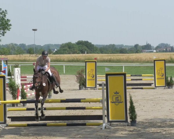 Reitturnier Biebesheim 2021