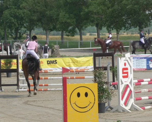 Reitturnier Biebesheim 2021