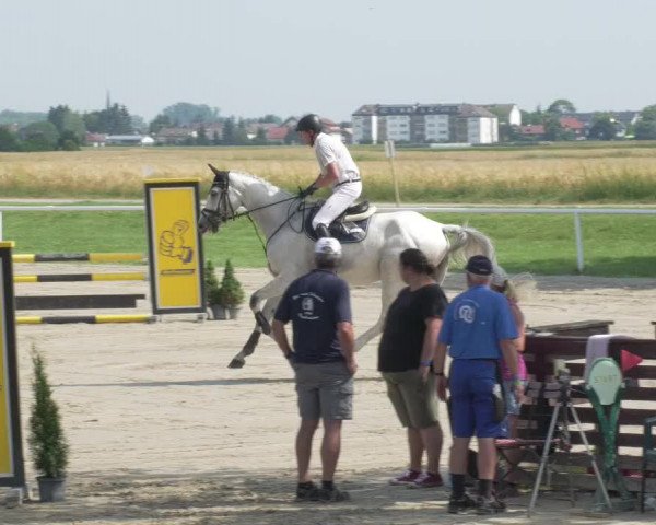 Reitturnier Biebesheim 2021