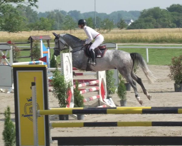 Reitturnier Biebesheim 2021