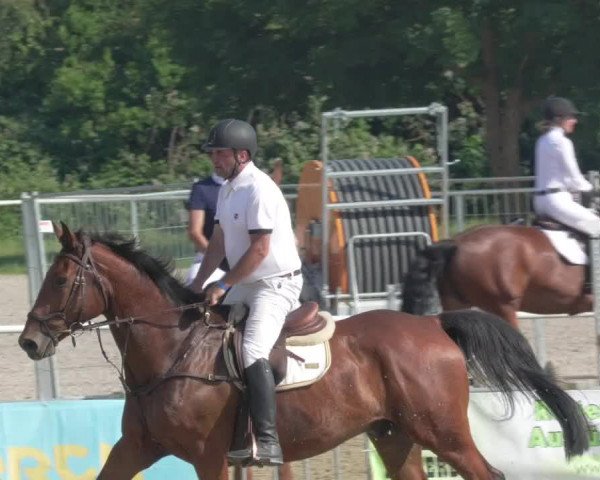 Reitturnier Biebesheim 2021