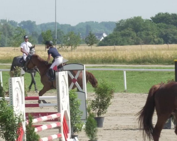 Reitturnier Biebesheim 2021
