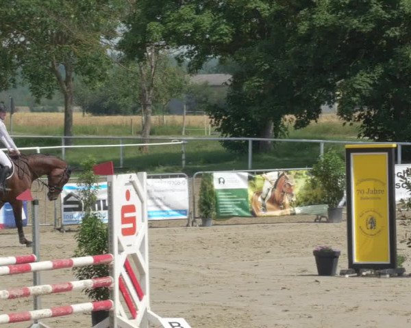 Reitturnier Biebesheim 2021