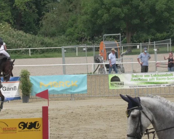 Reitturnier Biebesheim 2021