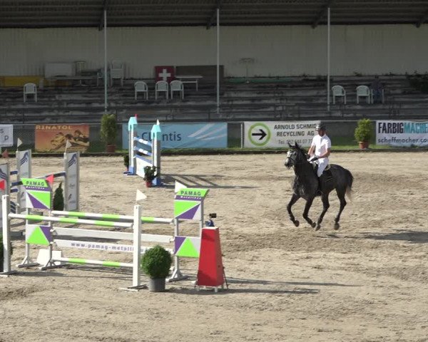 Reitturnier Schaffhausen 2021
