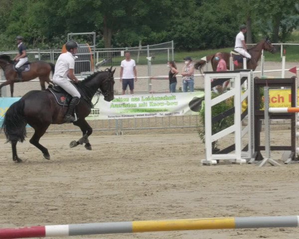 Reitturnier Biebesheim 2021