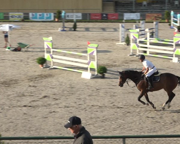Reitturnier Schaffhausen 2021