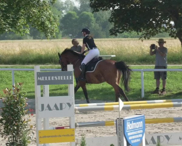 Reitturnier Biebesheim 2021