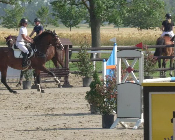 Reitturnier Biebesheim 2021