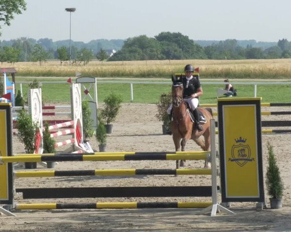 Reitturnier Biebesheim 2021