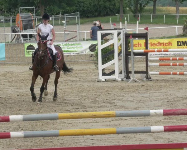 Reitturnier Biebesheim 2021
