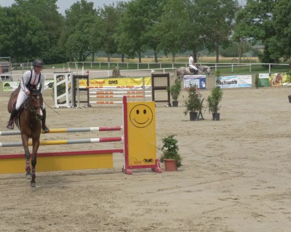 Reitturnier Biebesheim 2021