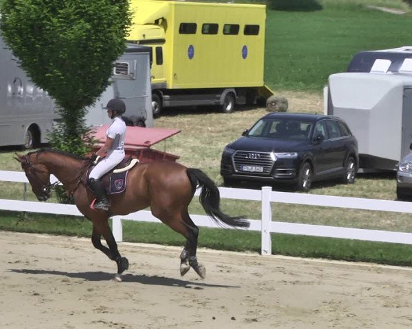 Reitturnier - Leutkirch-Diepoldshofen 2021
