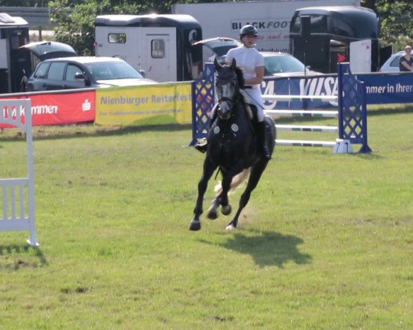 Reitturnier Nienburg 2021