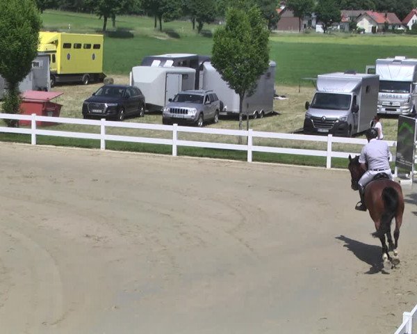 Reitturnier - Leutkirch-Diepoldshofen 2021