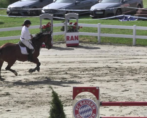 Reitturnier - Leutkirch-Diepoldshofen 2021