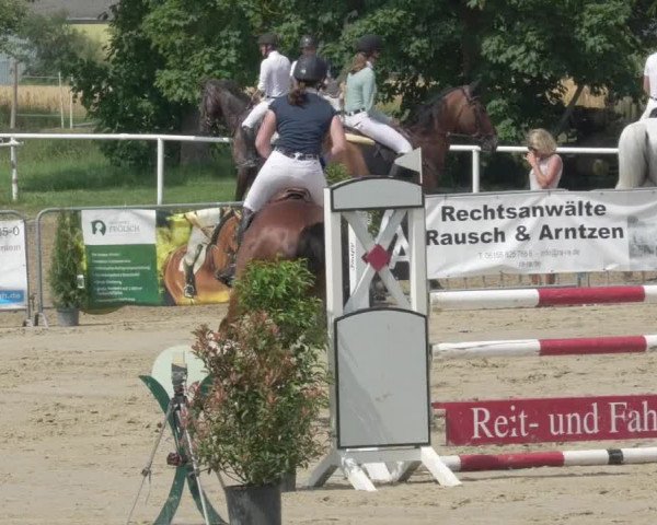 Reitturnier Biebesheim 2021