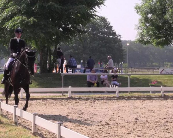 Reitturnier Coesfeld/Lette 2021