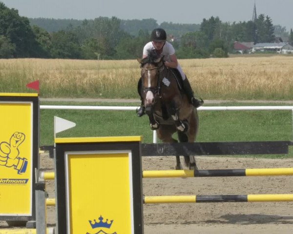 Reitturnier Biebesheim 2021