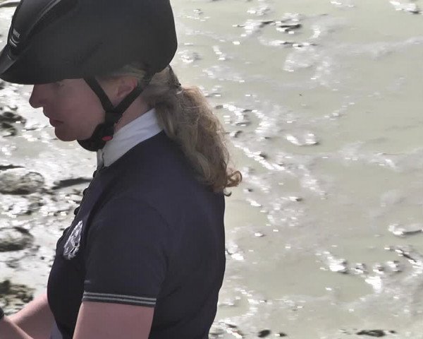 Reitturnier - Leutkirch-Diepoldshofen 2021