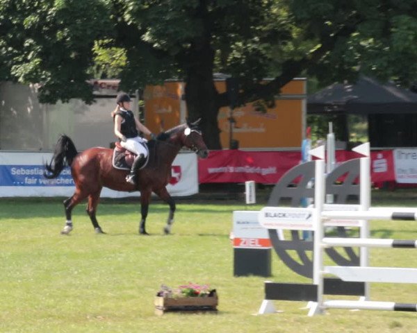 Reitturnier Nienburg 2021