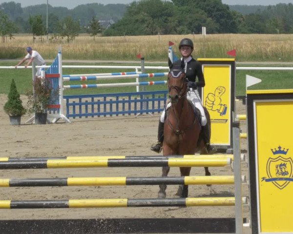 Reitturnier Biebesheim 2021