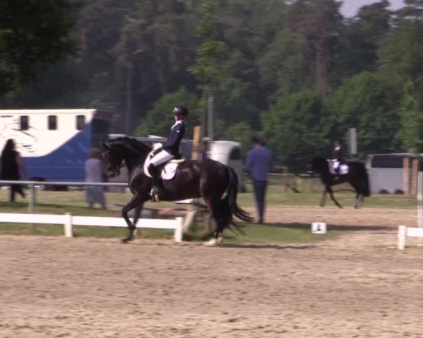 Reitturnier Coesfeld/Lette 2021