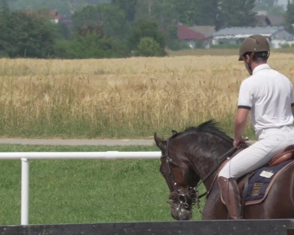 Reitturnier Biebesheim 2021