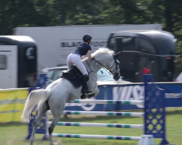 Reitturnier Nienburg 2021
