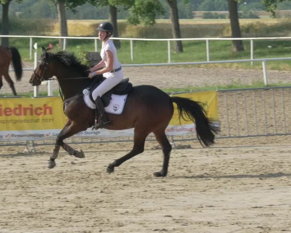 Reitturnier Biebesheim 2021
