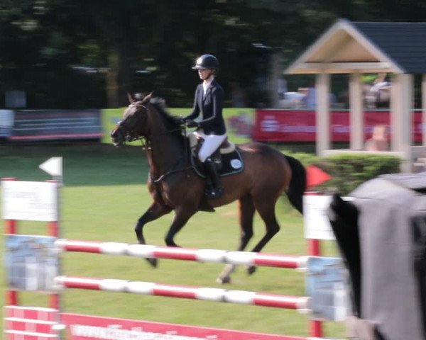 Reitturnier Nienburg 2021