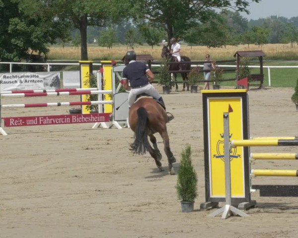 Reitturnier Biebesheim 2021