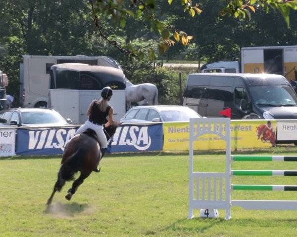 Reitturnier Nienburg 2021