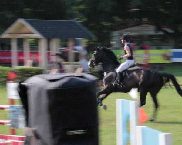 Reitturnier Nienburg 2021