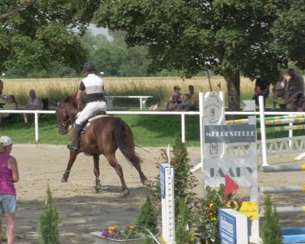 Reitturnier Biebesheim 2021